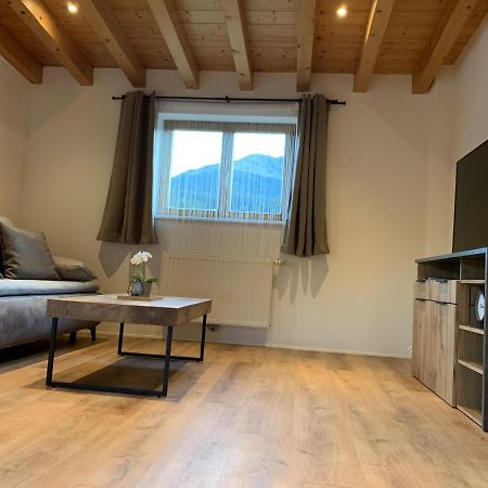 Ferienwohnungen Pletzenauer Sankt Johann in Tirol Εξωτερικό φωτογραφία
